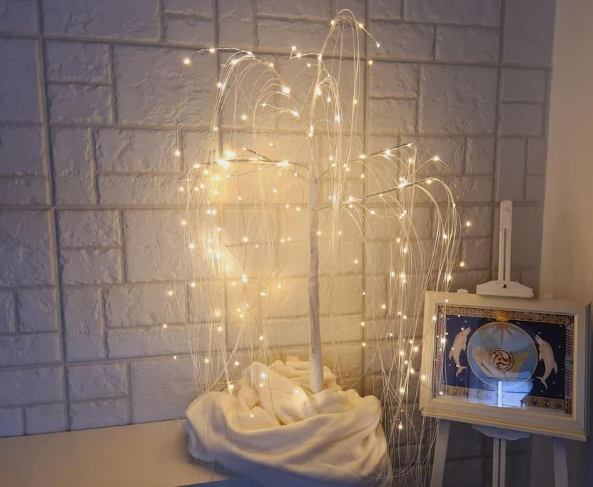 Energy Home 巴勒莫 外观 照片